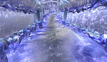 hidden ice paths