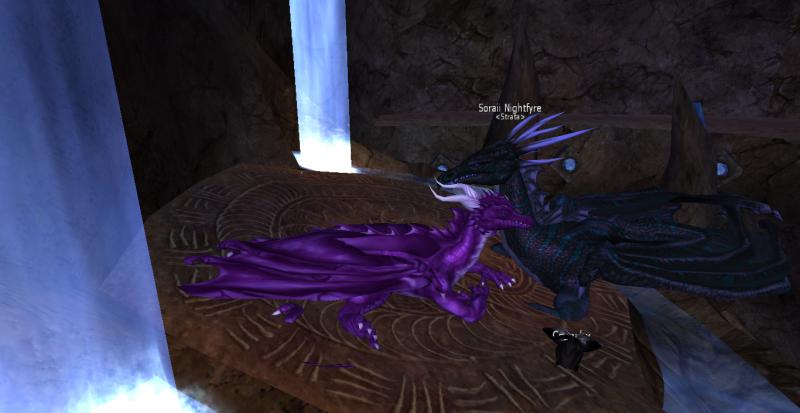 I think Remii is blinking here. Naps in Soraii's lair \o/